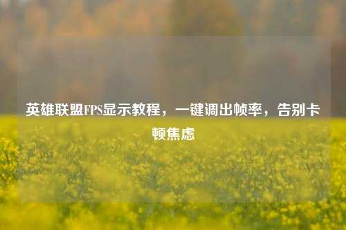 英雄联盟FPS显示教程,一键调出帧率,告别卡顿焦虑