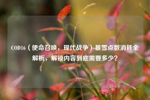 COD16（使命召唤，现代战争）暴雪点数消耗全解析，解锁内容到底需要多少？