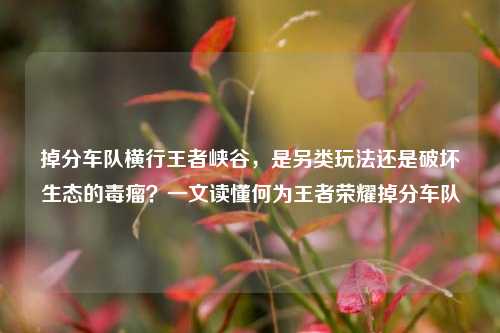 掉分车队横行王者峡谷，是另类玩法还是破坏生态的毒瘤？一文读懂何为王者荣耀掉分车队