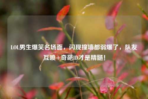 LOL男生爆笑名场面，闪现撞墙都弱爆了，队友互喷+奇葩ID才是精髓！