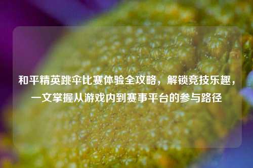 和平精英跳伞比赛体验全攻略，解锁竞技乐趣，一文掌握从游戏内到赛事平台的参与路径