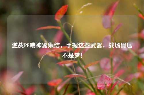 逆战PE端神器集结，手握这些武器，战场碾压不是梦！