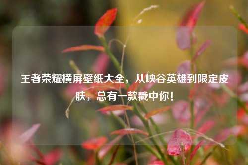 王者荣耀横屏壁纸大全，从峡谷英雄到限定皮肤，总有一款戳中你！