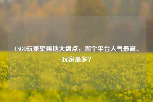 CSGO玩家聚集地大盘点，哪个平台人气最高、玩家最多？