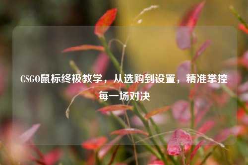 CSGO鼠标终极教学,从选购到设置,精准掌控每一场对决