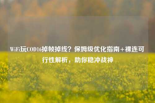 WiFi玩COD16掉帧掉线?保姆级优化指南+裸连可行性解析,助你稳冲战神