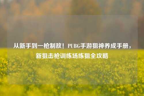 从新手到一枪制敌！PUBG手游狙神养成手册，新狙击枪训练场练狙全攻略