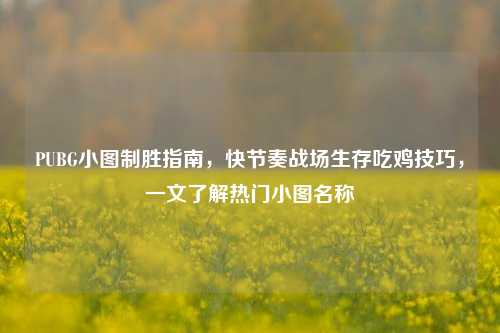 PUBG小图制胜指南，快节奏战场生存吃鸡技巧，一文了解热门小图名称