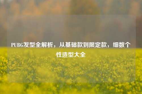 PUBG发型全解析,从基础款到限定款,细数个性造型大全