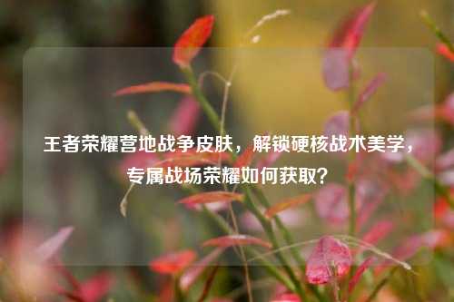 王者荣耀营地战争皮肤，解锁硬核战术美学，专属战场荣耀如何获取？