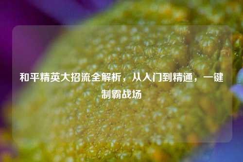 和平精英大招流全解析,从入门到精通,一键制霸战场