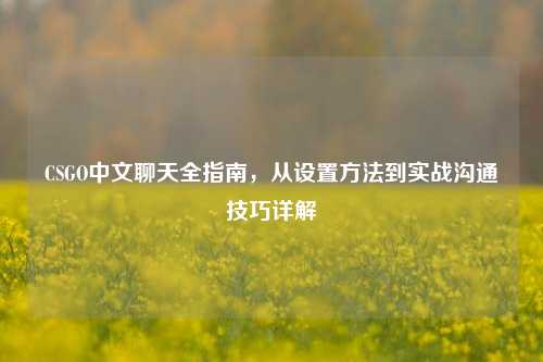 CSGO中文聊天全指南,从设置方法到实战沟通技巧详解