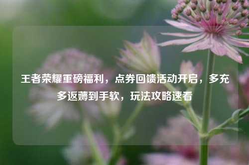 王者荣耀重磅福利,点券回馈活动开启,多充多返薅到手软,玩法攻略速看