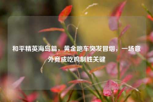 和平精英海岛篇,黄金跑车突发冒烟,一场意外竟成吃鸡制胜关键