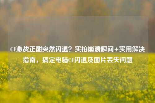CF激战正酣突然闪退？实拍崩溃瞬间+实用解决指南，搞定电脑CF闪退及图片丢失问题