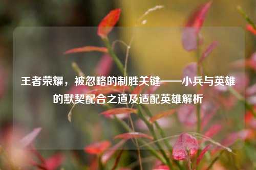 王者荣耀，被忽略的制胜关键——小兵与英雄的默契配合之道及适配英雄解析