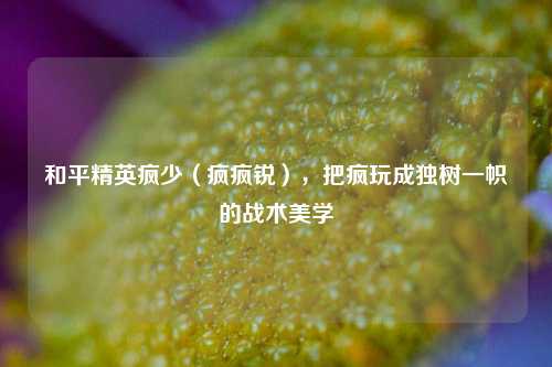 和平精英疯少（疯疯锐），把疯玩成独树一帜的战术美学