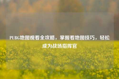 PUBG地图观看全攻略，掌握看地图技巧，轻松成为战场指挥官