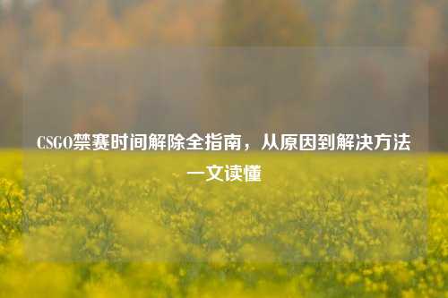 CSGO禁赛时间解除全指南，从原因到解决方法一文读懂