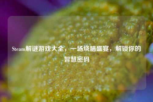 Steam解谜游戏大全，一场烧脑盛宴，解锁你的智慧密码