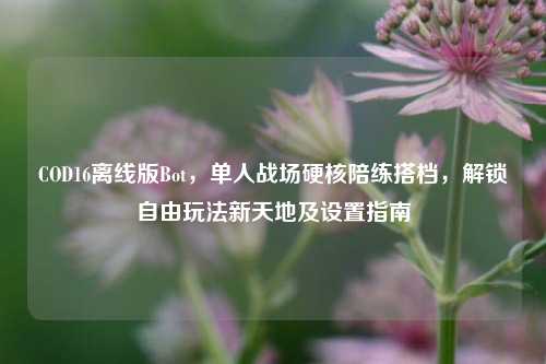 COD16离线版Bot，单人战场硬核陪练搭档，解锁自由玩法新天地及设置指南