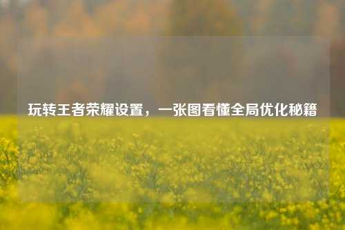 玩转王者荣耀设置，一张图看懂全局优化秘籍