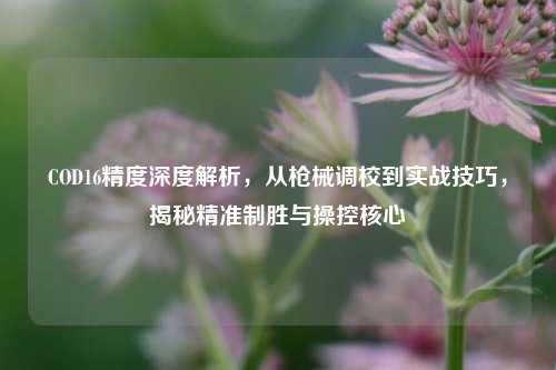 COD16精度深度解析，从枪械调校到实战技巧，揭秘精准制胜与操控核心