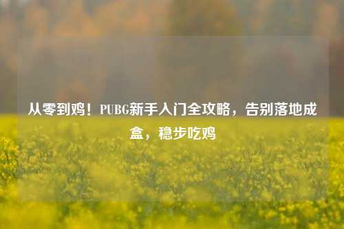 从零到鸡！PUBG新手入门全攻略，告别落地成盒，稳步吃鸡