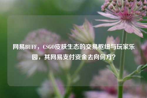 网易BUFF，CSGO皮肤生态的交易枢纽与玩家乐园，其网易支付资金去向何方？