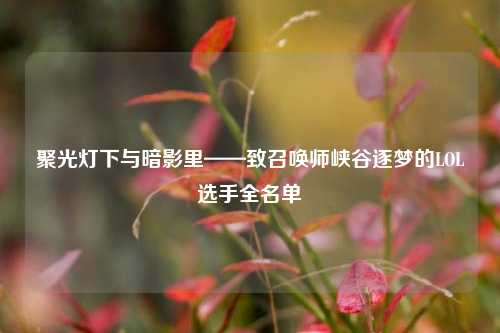 聚光灯下与暗影里——致召唤师峡谷逐梦的LOL选手全名单