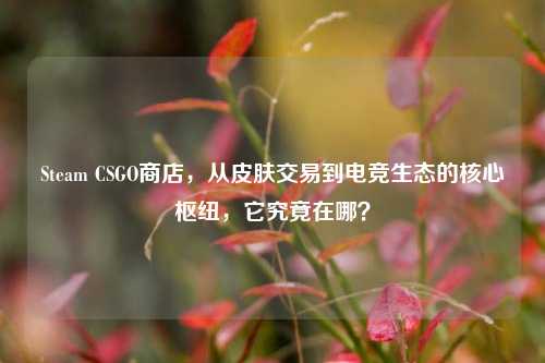 Steam CSGO商店，从皮肤交易到电竞生态的核心枢纽，它究竟在哪？