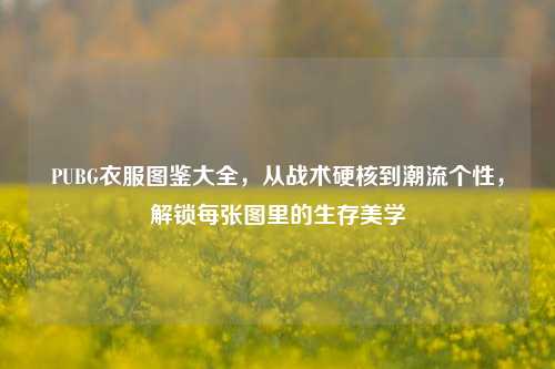 PUBG衣服图鉴大全,从战术硬核到潮流个性,解锁每张图里的生存美学