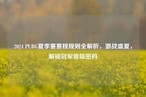 2024 PUBG夏季赛赛程规则全解析，激战盛夏，解锁冠军晋级密码