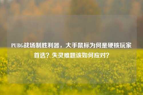 PUBG战场制胜利器，大手鼠标为何是硬核玩家首选？失灵难题该如何应对？