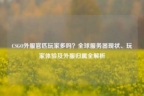 CSGO外服官匹玩家多吗？全球服务器现状、玩家体验及外服归属全解析