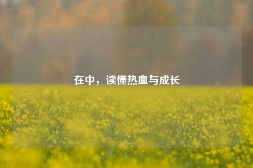在中,读懂热血与成长