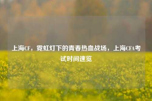上海CF，霓虹灯下的青春热血战场，上海CFA考试时间速览