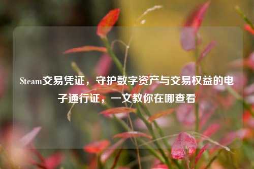 Steam交易凭证,守护数字资产与交易权益的电子通行证,一文教你在哪查看