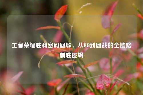 王者荣耀胜利密码图解,从BP到团战的全链路制胜逻辑