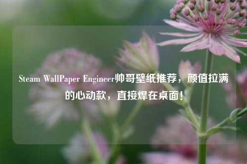 Steam WallPaper Engineer帅哥壁纸推荐，颜值拉满的心动款，直接焊在桌面！
