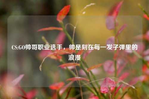 CS:GO帅哥职业选手，帅是刻在每一发子弹里的浪漫