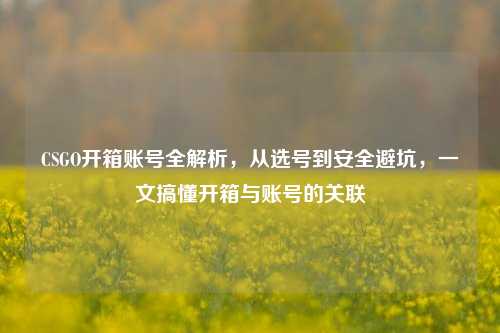 CSGO开箱账号全解析，从选号到安全避坑，一文搞懂开箱与账号的关联