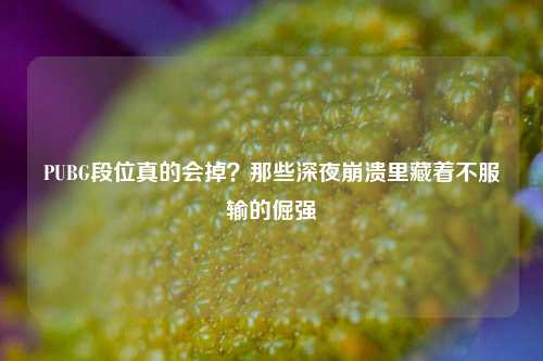 PUBG段位真的会掉？那些深夜崩溃里藏着不服输的倔强