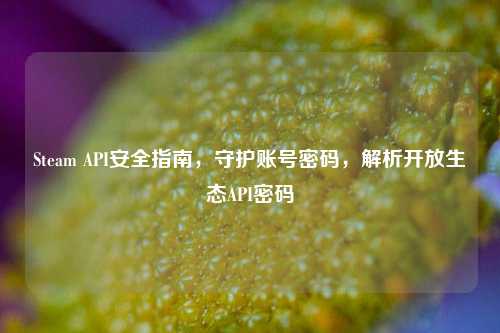 Steam API安全指南，守护账号密码，解析开放生态API密码