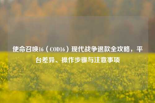 使命召唤16（COD16）现代战争退款全攻略，平台差异、操作步骤与注意事项