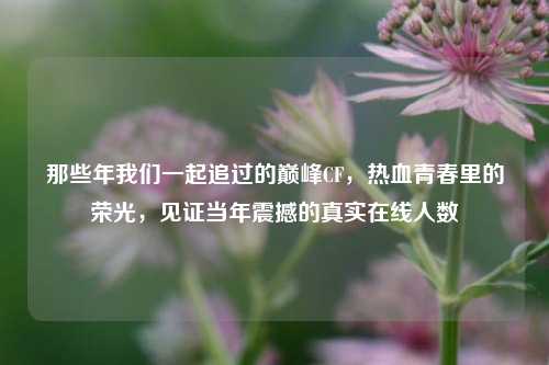 那些年我们一起追过的巅峰CF，热血青春里的荣光，见证当年震撼的真实在线人数