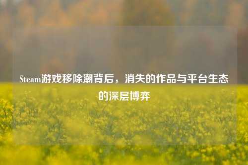 Steam游戏移除潮背后,消失的作品与平台生态的深层博弈