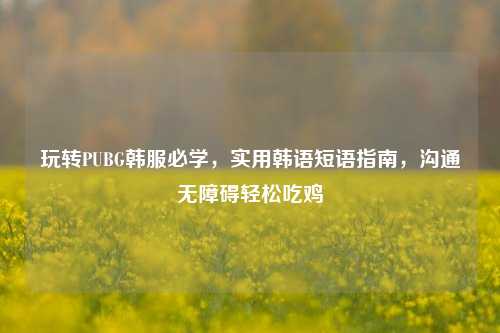 玩转PUBG韩服必学,实用韩语短语指南,沟通无障碍轻松吃鸡