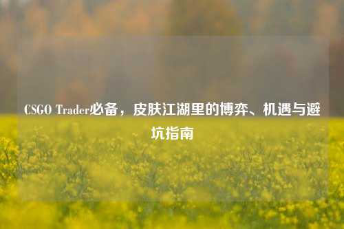 CSGO Trader必备,皮肤江湖里的博弈、机遇与避坑指南