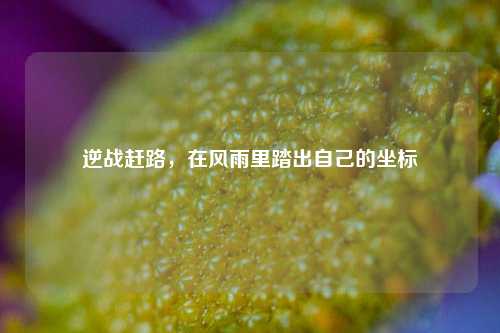 逆战赶路，在风雨里踏出自己的坐标
